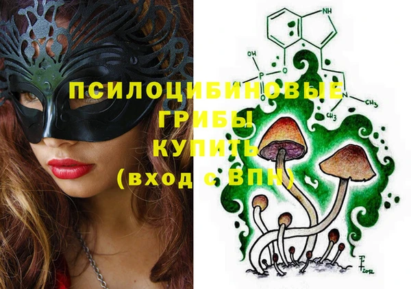 молекула духа Алексин