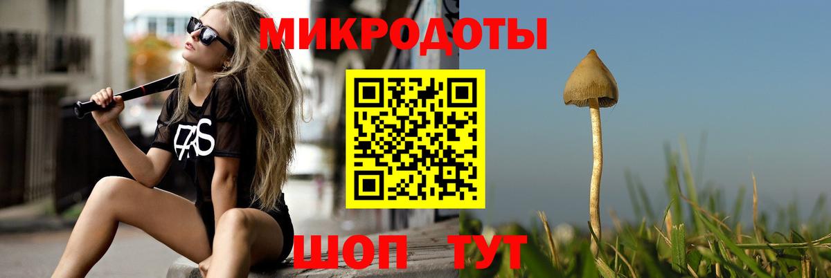 Псилоцибиновые грибы Cubensis  Вход с VPN  Котлас 